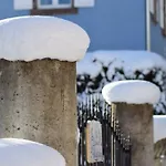 Les Locations De Stephanie ,gite L'arbre *