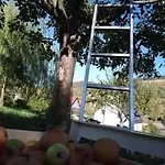 Les Locations De Stephanie ,gite L'arbre Apartmán
