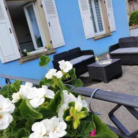 Les Locations De Stephanie ,gite L'arbre * Sondernach