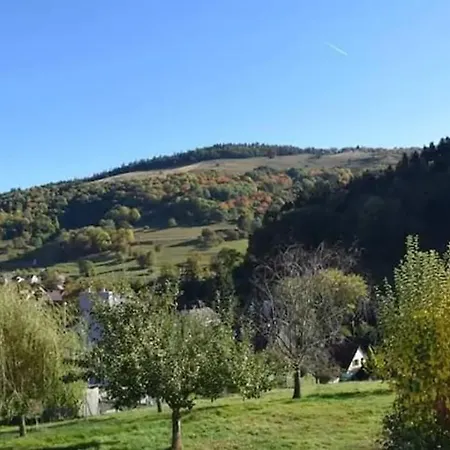 Les Locations De Stephanie ,gite L'arbre Daire