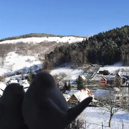 Apartament Les Locations De Stephanie ,gite L'arbre