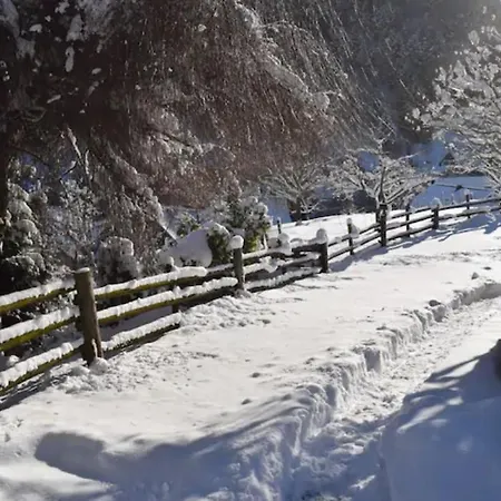 Apartament Les Locations De Stephanie ,gite L'arbre