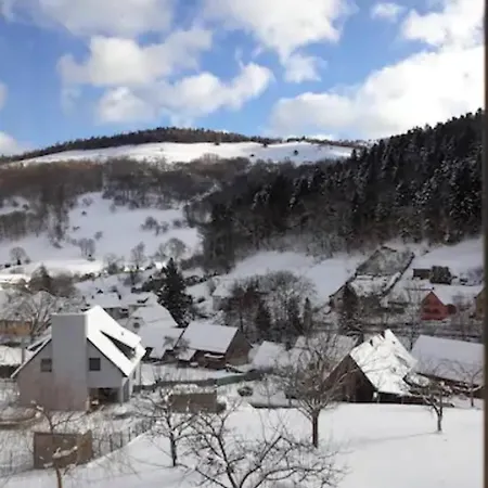 Apartament Les Locations De Stephanie ,gite L'arbre Sondernach