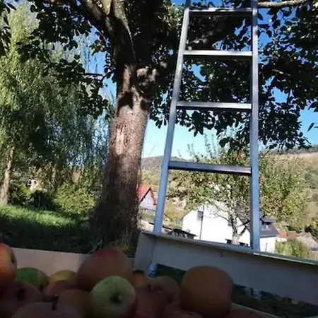 Les Locations De Stephanie ,gite L'arbre Apartment