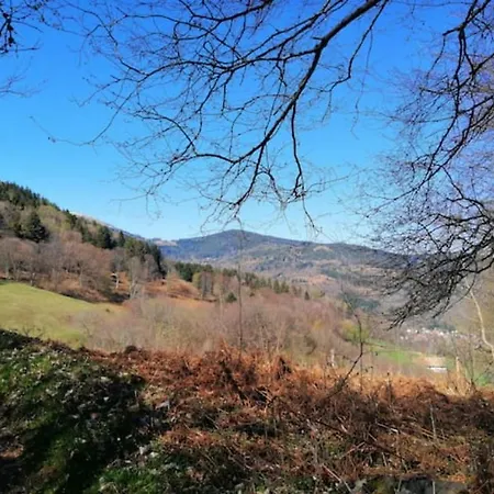 Les Locations De Stephanie ,gite L'arbre * Sondernach