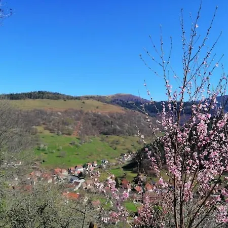 Les Locations De Stephanie ,gite L'arbre Sondernach