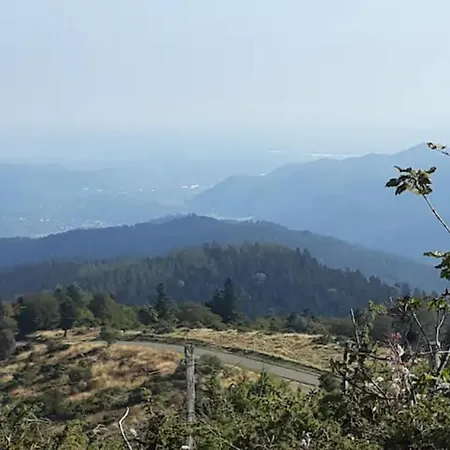 Les Locations De Stephanie ,gite L'arbre *