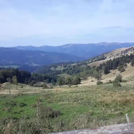 Les Locations De Stephanie ,gite L'arbre * Sondernach