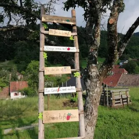 Les Locations De Stephanie ,gite L'arbre Apartment