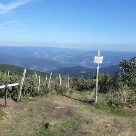 Les Locations De Stephanie ,gite L'arbre Apartament Sondernach