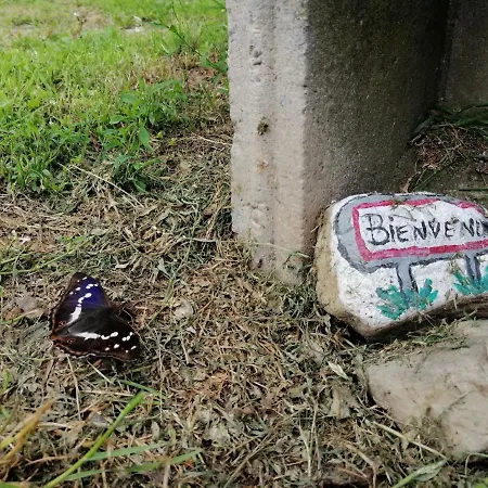 아파트 Les Locations De Stephanie ,gite L'arbre