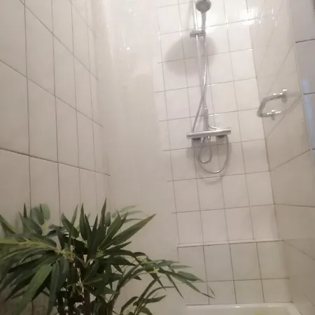 Apartament Les Locations De Stephanie ,gite L'arbre Sondernach